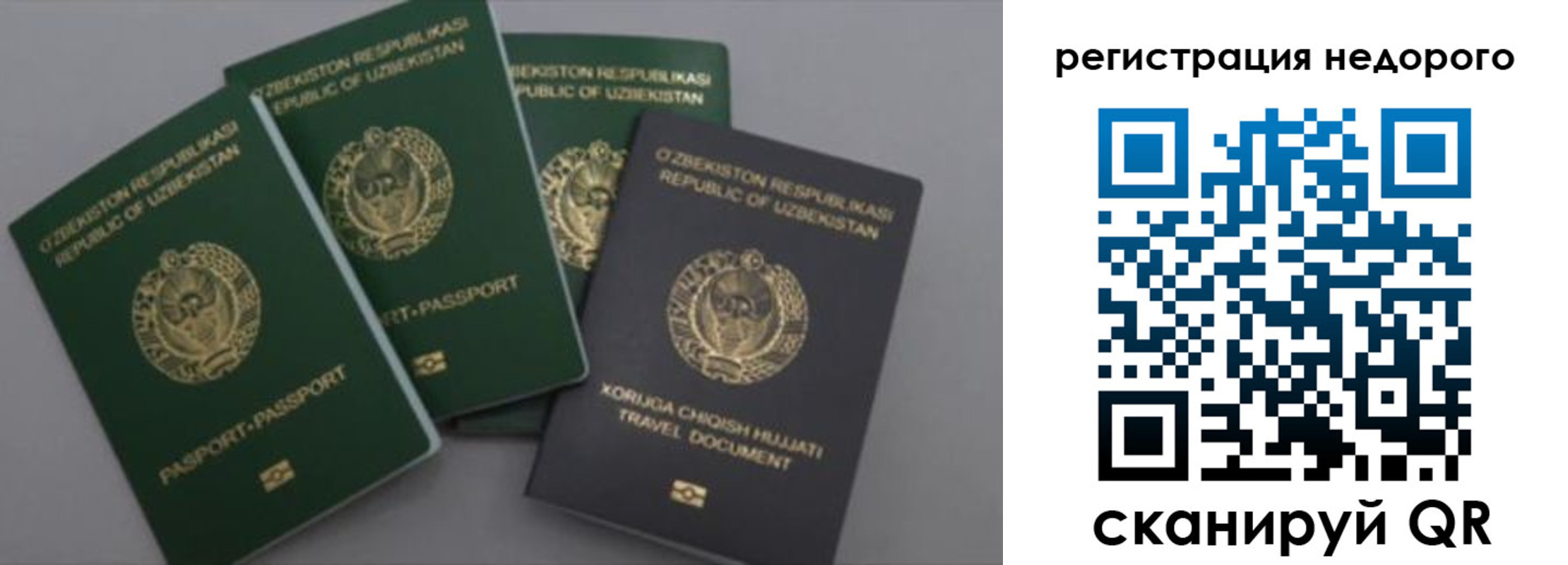 пропишу в квартире в Апатитах