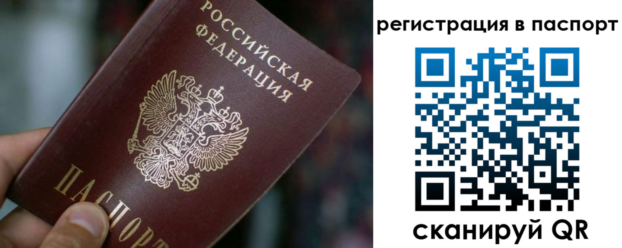 временная регистрация недорого в Апатитах